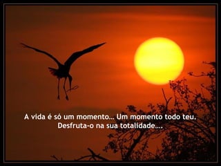 A vida é só um momento… Um momento todo teu.
          Desfruta-o na sua totalidade….
 