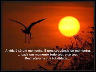 A vida é só um momento. É uma sequência de momentos
… cada um momento todo teu, e só teu.
Desfruta-o na sua totalidade….
 