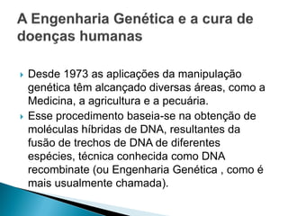    Desde 1973 as aplicações da manipulação
    genética têm alcançado diversas áreas, como a
    Medicina, a agricultura e a pecuária.
   Esse procedimento baseia-se na obtenção de
    moléculas híbridas de DNA, resultantes da
    fusão de trechos de DNA de diferentes
    espécies, técnica conhecida como DNA
    recombinate (ou Engenharia Genética , como é
    mais usualmente chamada).
 