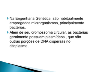  Na Engenharia Genética, são habitualmente
  empregados microrganismos, principalmente
  bactérias.
 Além de seu cromossoma circular, as bactérias
  geralmente possuem plasmídeos , que são
  outras porções de DNA dispersas no
  citoplasma.
 