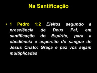 Na Santificação 1 Pedro 1:2   Eleitos segundo a presciência de Deus Pai, em santificação do Espírito, para a obediência e aspersão do sangue de Jesus Cristo: Graça e paz vos sejam multiplicadas .  