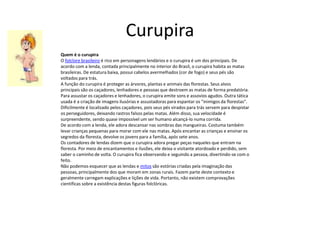 Curupira
Quem é o curupira
O folclore brasileiro é rico em personagens lendários e o curupira é um dos principais. De
acordo com a lenda, contada principalmente no interior do Brasil, o curupira habita as matas
brasileiras. De estatura baixa, possui cabelos avermelhados (cor de fogo) e seus pés são
voltados para trás.
A função do curupira é proteger as árvores, plantas e animais das florestas. Seus alvos
principais são os caçadores, lenhadores e pessoas que destroem as matas de forma predatória.
Para assustar os caçadores e lenhadores, o curupira emite sons e assovios agudos. Outra tática
usada é a criação de imagens ilusórias e assustadoras para espantar os "inimigos da florestas".
Dificilmente é localizado pelos caçadores, pois seus pés virados para trás servem para despistar
os perseguidores, deixando rastros falsos pelas matas. Além disso, sua velocidade é
surpreendente, sendo quase impossível um ser humano alcançá-lo numa corrida.
De acordo com a lenda, ele adora descansar nas sombras das mangueiras. Costuma também
levar crianças pequenas para morar com ele nas matas. Após encantar as crianças e ensinar os
segredos da floresta, devolve os jovens para a família, após sete anos.
Os contadores de lendas dizem que o curupira adora pregar peças naqueles que entram na
floresta. Por meio de encantamentos e ilusões, ele deixa o visitante atordoado e perdido, sem
saber o caminho de volta. O curupira fica observando e seguindo a pessoa, divertindo-se com o
feito.
Não podemos esquecer que as lendas e mitos são estórias criadas pela imaginação das
pessoas, principalmente dos que moram em zonas rurais. Fazem parte deste contexto e
geralmente carregam explicações e lições de vida. Portanto, não existem comprovações
científicas sobre a existência destas figuras folclóricas.
 