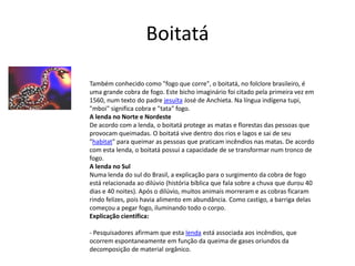 Boitatá
Também conhecido como "fogo que corre", o boitatá, no folclore brasileiro, é
uma grande cobra de fogo. Este bicho imaginário foi citado pela primeira vez em
1560, num texto do padre jesuíta José de Anchieta. Na língua indígena tupi,
"mboi" significa cobra e "tata" fogo.
A lenda no Norte e Nordeste
De acordo com a lenda, o boitatá protege as matas e florestas das pessoas que
provocam queimadas. O boitatá vive dentro dos rios e lagos e sai de seu
"habitat" para queimar as pessoas que praticam incêndios nas matas. De acordo
com esta lenda, o boitatá possui a capacidade de se transformar num tronco de
fogo.
A lenda no Sul
Numa lenda do sul do Brasil, a explicação para o surgimento da cobra de fogo
está relacionada ao dilúvio (história bíblica que fala sobre a chuva que durou 40
dias e 40 noites). Após o dilúvio, muitos animais morreram e as cobras ficaram
rindo felizes, pois havia alimento em abundância. Como castigo, a barriga delas
começou a pegar fogo, iluminando todo o corpo.
Explicação científica:
- Pesquisadores afirmam que esta lenda está associada aos incêndios, que
ocorrem espontaneamente em função da queima de gases oriundos da
decomposição de material orgânico.
 