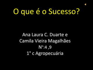 O que é o Sucesso? Ana Laura C. Duarte eCamila Vieira MagalhãesN°:4 ,91° c Agropecuária 