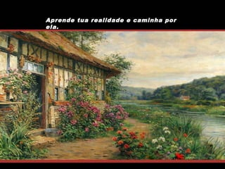 Aprende tua realidade e caminha por
ela.

 