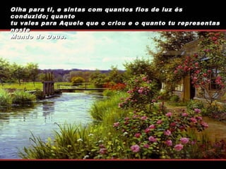 Olha para ti, e sintas com quantos fios de luz és
conduzido; quanto
tu vales para Aquele que o criou e o quanto tu representas
neste
Mundo de Deus.

 