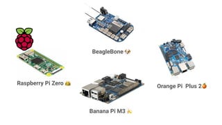 BeagleBone 🐶
Orange Pi Plus 2🍊
Raspberry Pi Zero 👑
Banana Pi M3 🍌
 