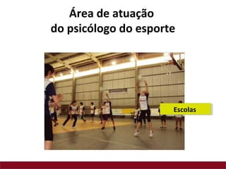 Área de atuação
do psicólogo do esporte
Escolas
 