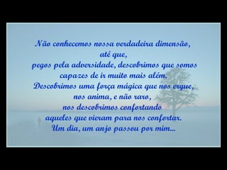 Não conhecemos nossa verdadeira dimensão,  até que, pegos pela adversidade, descobrimos que somos capazes de ir muito mais além.  Descobrimos uma força mágica que nos ergue, nos anima, e não raro,  nos descobrimos confortando  aqueles que vieram para nos confortar. Um dia, um anjo passou por mim... 