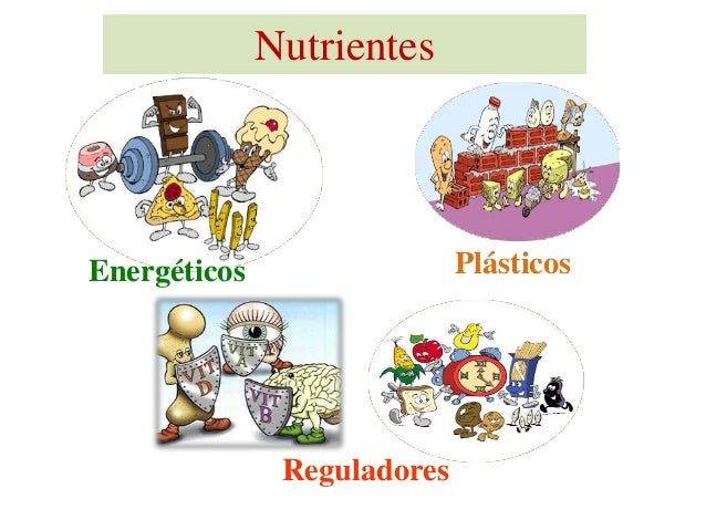 O que se esconde dentro dos alimentos