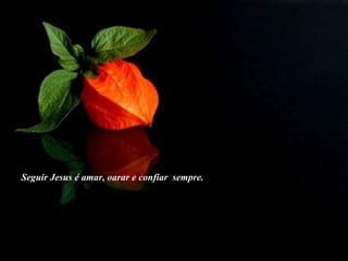 Seguir Jesus é amar, oarar e confiar  sempre. 