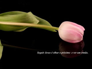 Seguir Jesus é olhar o próximo  e ver um irmão. 