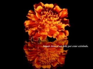 Seguir Jesus é ser feliz por estar existindo. 