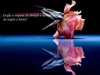 O que o impede de abraçar o desafio de seguir a Jesus? ? 