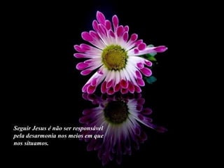 Seguir Jesus é não ser responsável pela desarmonia nos meios em que nos situamos. 