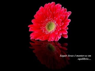 Seguir Jesus é manter-se em equilíbrio… 