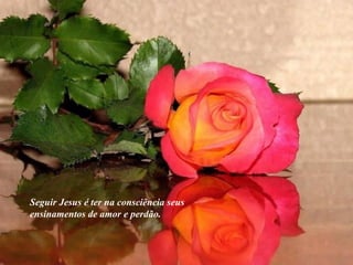 Seguir Jesus é ter na consciência seus ensinamentos de amor e perdão. 