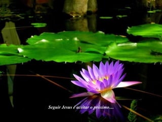 Seguir Jesus é aceitar o próximo… 