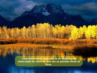 Cada dia estamos mais pobres de espírito e de 
observação da natureza, que são as grandes obras de 
                      Deus.
 