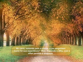 No carro, voltando para a cidade, o pai perguntou:
- Como foi sua experiência? -Boa, responde o filho, com o
                olhar perdido à distância.
 