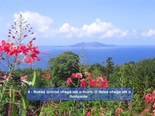  4 - Nosso quintal chega até o muro. O deles chega até o 
                       horizonte
 
