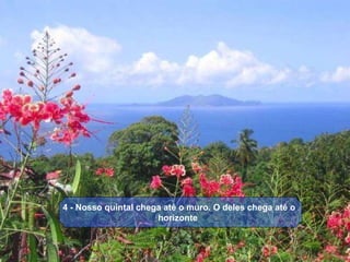   4 - Nosso quintal chega até o muro. O deles chega até o horizonte 