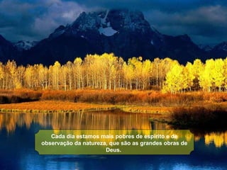 Cada dia estamos mais pobres de espírito e de observação da natureza, que são as grandes obras de Deus.   