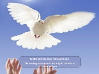 Tenha sempre dias maravilhosos.  Se você gostou envie  esta lição de vida a seus amigos 