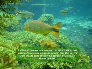 2 - Que nós temos uma piscina com água tratada, que
chega até a metade do nosso quintal. Eles têm um rio
   sem fim, de água cristalina, onde tem peixinhos e
                   outras belezas
 