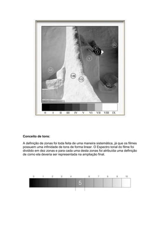 Conceito de tons:
A definição de zonas foi toda feita de uma maneira sistemática, já que os filmes
possuem uma infinidade de tons de forma linear. O Espectro tonal do filme foi
dividido em dez zonas e para cada uma desta zonas foi atribuída uma definição
de como ela deveria ser representada na ampliação final.
 