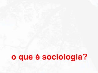 o que é sociologia? 