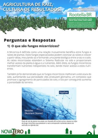 O que são Micorrizas.pdf