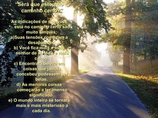 “ Será que estou no caminho certo?” As indicações de que você está no caminho certo são muito simples:  a)Suas tensões começam a desaparecer.  b) Você fica mais e mais senhor de si. Mais e mais calmo.  c) Encontrará beleza em coisas que jamais concebeu pudessem ser belas.  d) As menores coisas começarão a ter imenso significado.  e) O mundo inteiro se tornará mais e mais misterioso a cada dia.      