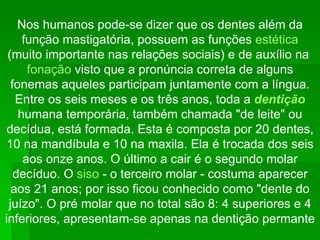 Nos humanos pode-se dizer que os dentes além da função mastigatória, possuem as funções  estética  (muito importante nas relações sociais) e de auxílio na  fonação  visto que a pronúncia correta de alguns fonemas aqueles participam juntamente com a língua. Entre os seis meses e os três anos, toda a  dentição  humana temporária, também chamada "de leite" ou decídua, está formada. Esta é composta por 20 dentes, 10 na mandíbula e 10 na maxila. Ela é trocada dos seis aos onze anos. O último a cair é o segundo molar decíduo. O  siso  - o terceiro molar - costuma aparecer aos 21 anos; por isso ficou conhecido como "dente do juízo". O pré molar que no total são 8: 4 superiores e 4 inferiores, apresentam-se apenas na dentição permante 