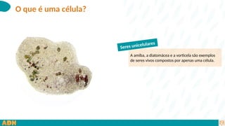 O que é uma célula_.pptx...................... | PPTX