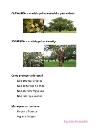 CARVALHO– a matéria-prima é madeira para móveis
SOBREIRO– a matéria-prima é cortiça
Como proteger a floresta?
Não arrancar árvores
Não deitar lixo no chão
Não acender fogueiras
Não fazer queimadas
Mas é preciso também:
Limpar a floresta
Vigiar a floresta
Parabéns Conseguiste
 