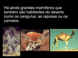 Há ainda grandes mamíferos que
também são habitantes do deserto
como os cangurus, as raposas ou os
camelos.
 