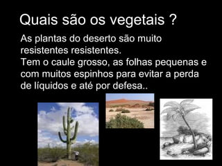Quais são os vegetais ?
As plantas do deserto são muito
resistentes resistentes.
Tem o caule grosso, as folhas pequenas e
com muitos espinhos para evitar a perda
de líquidos e até por defesa..
 
