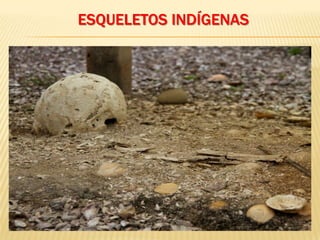 ESQUELETOS INDÍGENAS
 