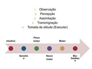 1. Observação
2. Percepção
3. Assimilação
4. Transmigração
5. Tomada de atitude (Executar)
Intuitivo
Sensitiv
o
Psico
motor
Neuro
motor
Motor
Bio-
feedbac
k
 