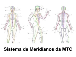 Sistema de Meridianos da MTC
 