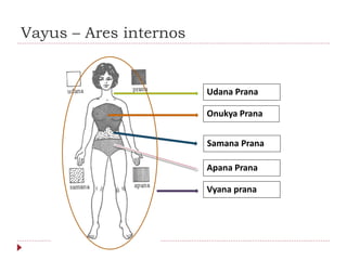 Vayus – Ares internos
Udana Prana
Onukya Prana
Samana Prana
Apana Prana
Vyana prana
 