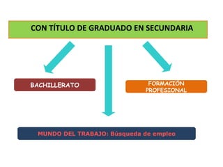 Primer curso: -  Módulos profesionales (18 h.) -  Módulos generales (12 h.) Segundo curso (voluntario): - Módulos conducentes a la obtención del Título de Secundaria  (Módulos de Comunicación, Social y Científico-Tecnológico) Quienes  aprueben el Primer curso , están  exentos de realizar una parte de la Prueba de Acceso a los CFGM , si se presentan a las mismas. 