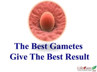 The Best Gametes
Give The Best Result
 