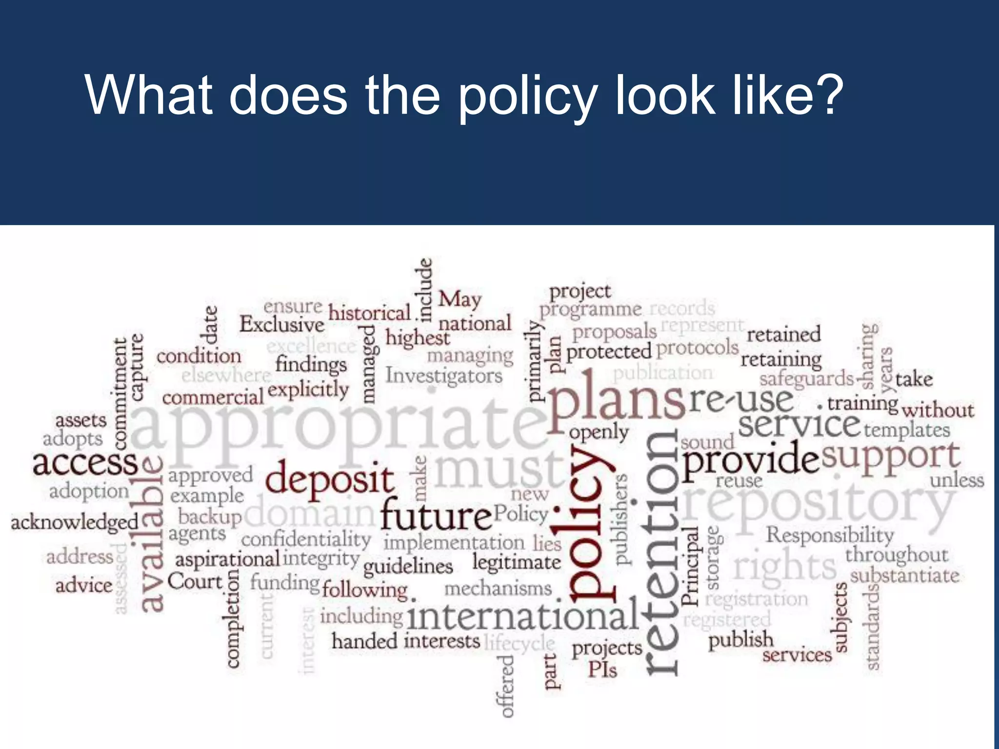 What does the policy look like?
 
