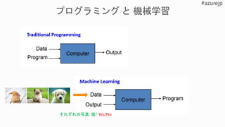 それぞれの写真: 猫? Yes/No
 