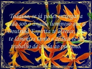 Todavia, se já podes enxergar a vida sob o ângulo luminoso que a Doutrina Espírita te oferece, não te lamentes tanto e dedica-te ao trabalho de ajuda ao próximo.