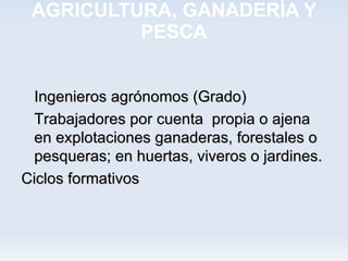 AGRICULTURA, GANADERÍA Y
          PESCA


 Ingenieros agrónomos (Grado)
 Trabajadores por cuenta propia o ajena
  en explotaciones ganaderas, forestales o
  pesqueras; en huertas, viveros o jardines.
Ciclos formativos
 