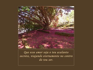 Que esse amor seja o teu acalanto secreto, viajando eternamente no centro do teu ser. 