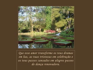 Que esse amor transforme os teus dramas em luz, as tuas tristezas em celebração e os teus passos cansados em alegres passos de dança renovadora. 